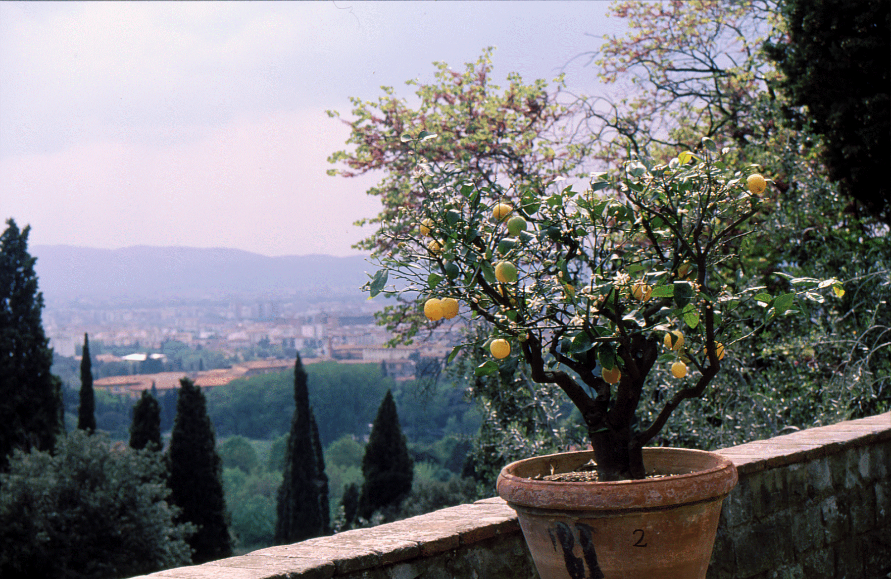 View of Florence from Ficino's villa